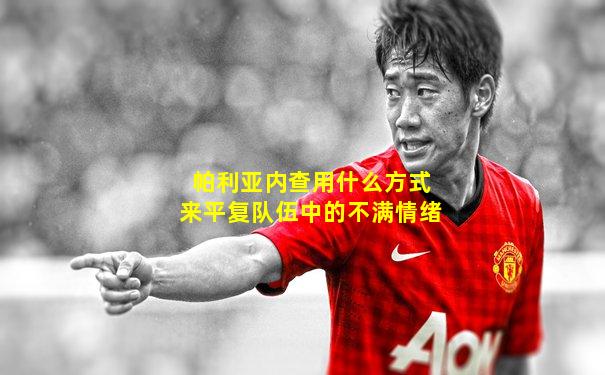 帕利亚内查用什么方式来平复队伍中的不满情绪