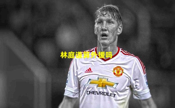 林庭谦算外援吗