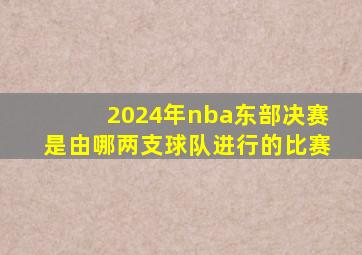 2024年nba东部决赛是由哪两支球队进行的比赛