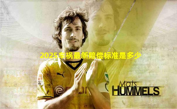 2025车祸最新赔偿标准是多少