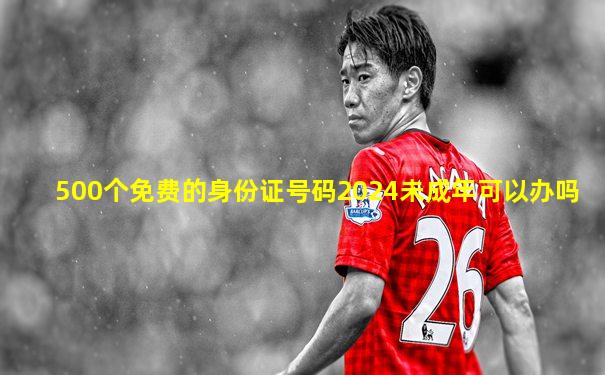 500个免费的身份证号码2024未成年可以办吗