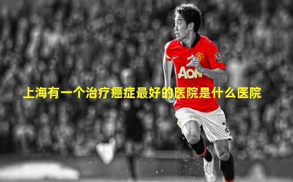 上海有一个治疗癌症最好的医院是什么医院