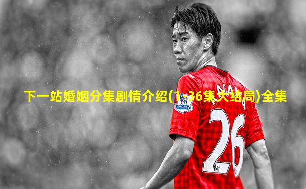 下一站婚姻分集剧情介绍(1-36集大结局)全集