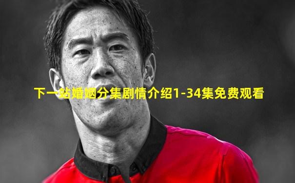 下一站婚姻分集剧情介绍1-34集免费观看