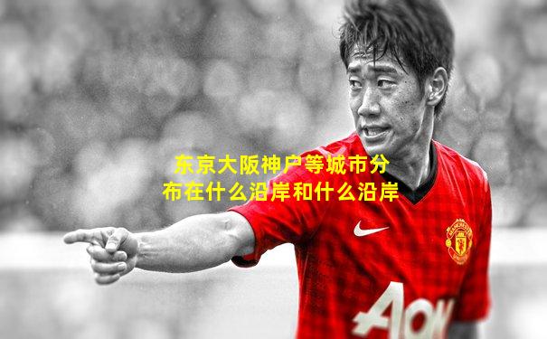 东京大阪神户等城市分布在什么沿岸和什么沿岸