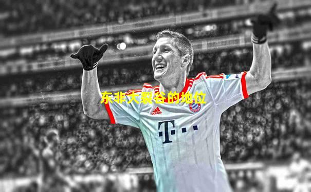 东非大裂谷的地位