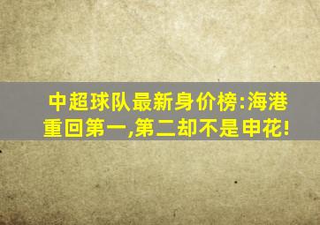 中超球队最新身价榜:海港重回第一,第二却不是申花!