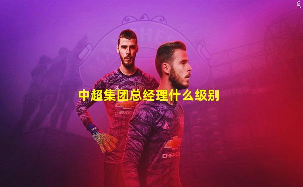 中超集团总经理什么级别
