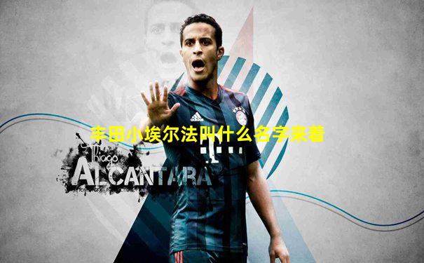 丰田小埃尔法叫什么名字来着