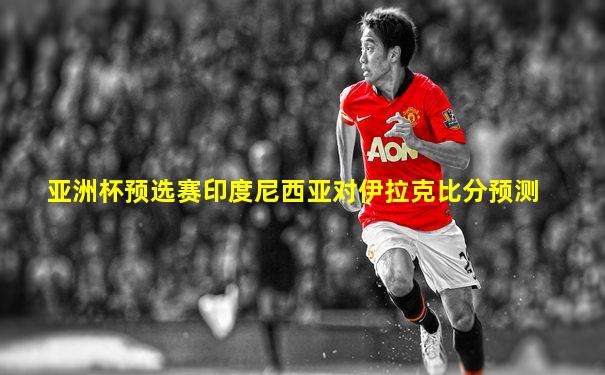亚洲杯预选赛印度尼西亚对伊拉克比分预测
