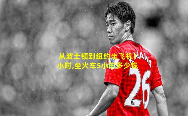 从波士顿到纽约坐飞机1小时,坐火车5小时多少钱
