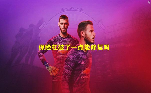 保险杠破了一点能修复吗