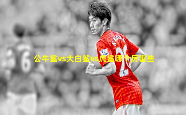 公牛鲨vs大白鲨vs虎鲨哪个厉害些