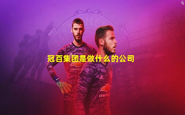 冠百集团是做什么的公司