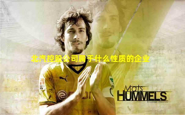 北汽控股公司属于什么性质的企业