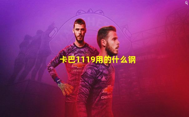 卡巴1119用的什么钢