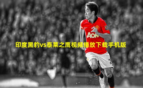 印度黑豹vs泰莱之鹰视频播放下载手机版