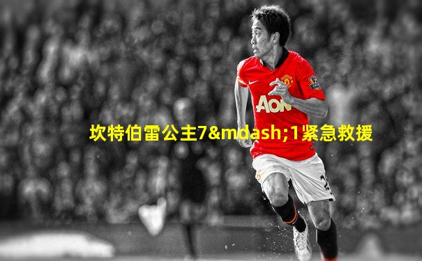 坎特伯雷公主7—1紧急救援