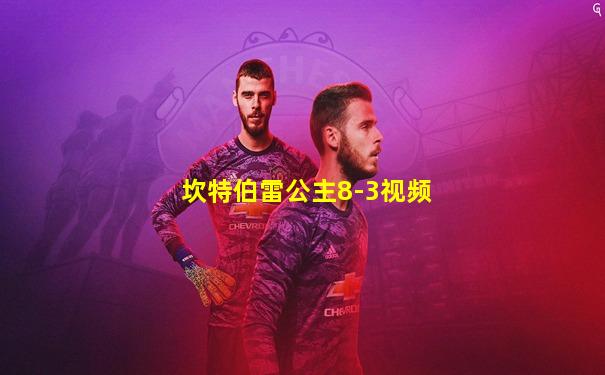 坎特伯雷公主8-3视频