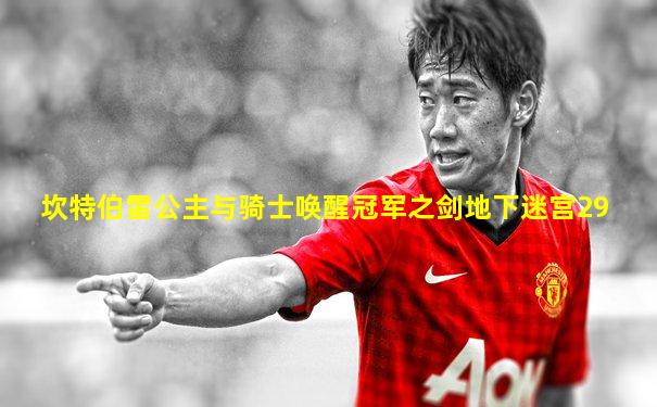 坎特伯雷公主与骑士唤醒冠军之剑地下迷宫29