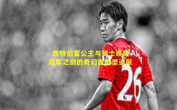 坎特伯雷公主与骑士唤醒冠军之剑的奇幻冒险渠道服