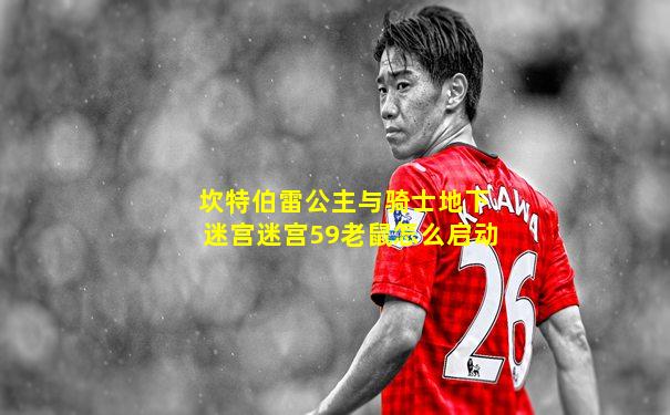 坎特伯雷公主与骑士地下迷宫迷宫59老鼠怎么启动