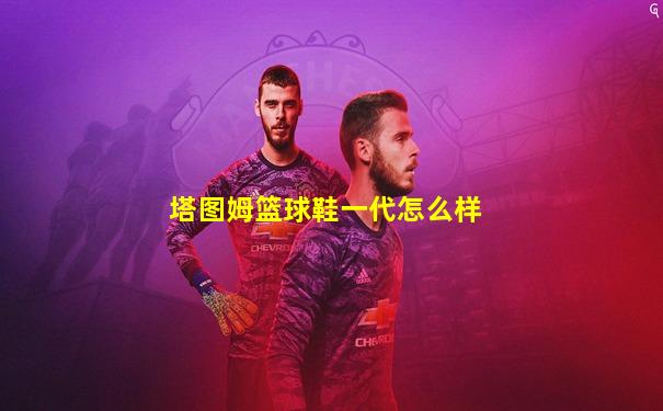 塔图姆篮球鞋一代怎么样