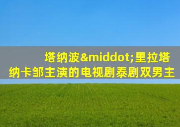 塔纳波·里拉塔纳卡邹主演的电视剧泰剧双男主