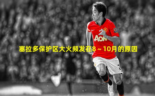 塞拉多保护区大火频发在8～10月的原因