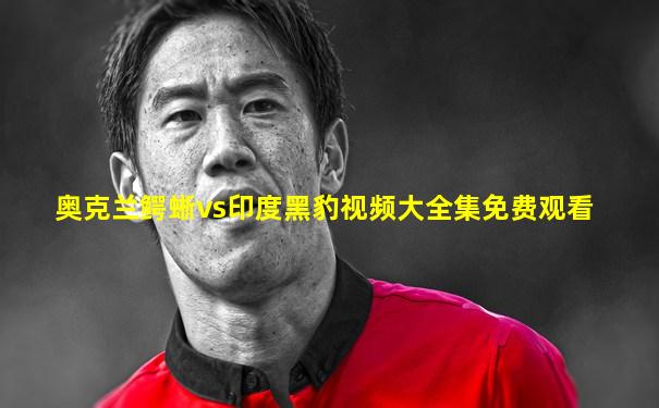 奥克兰鳄蜥vs印度黑豹视频大全集免费观看