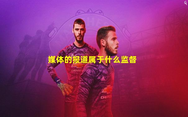 媒体的报道属于什么监督
