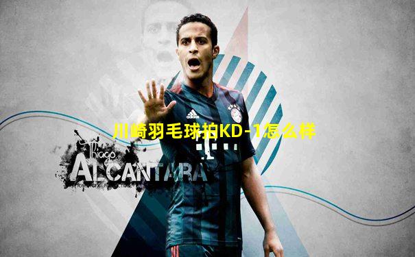 川崎羽毛球拍KD-1怎么样