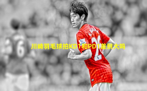 川崎羽毛球拍KD1和PD1差别大吗