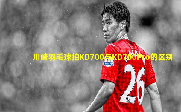川崎羽毛球拍KD700与KD700Pro的区别