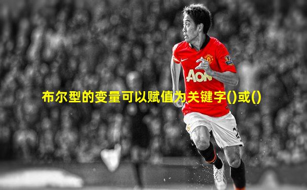 布尔型的变量可以赋值为关键字()或()