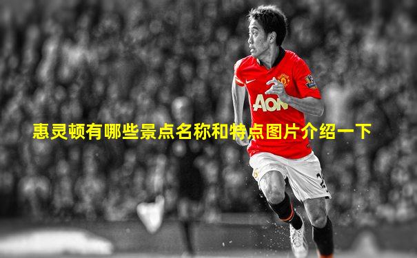 惠灵顿有哪些景点名称和特点图片介绍一下