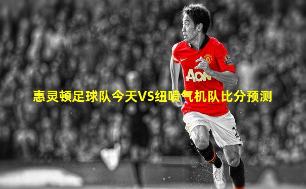 惠灵顿足球队今天VS纽喷气机队比分预测