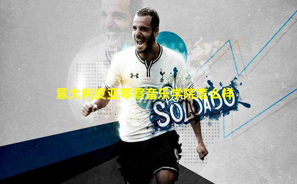 意大利皮亚琴察音乐学院怎么样