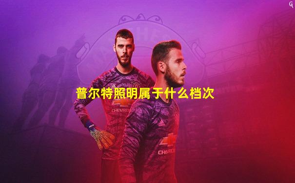 普尔特照明属于什么档次