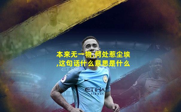 本来无一物,何处惹尘埃,这句话什么意思是什么