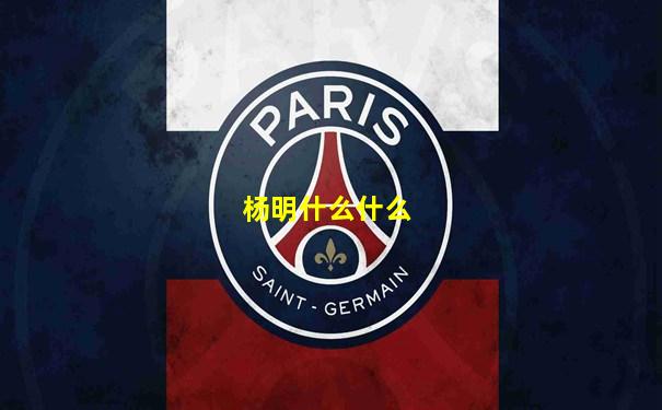 杨明什么什么