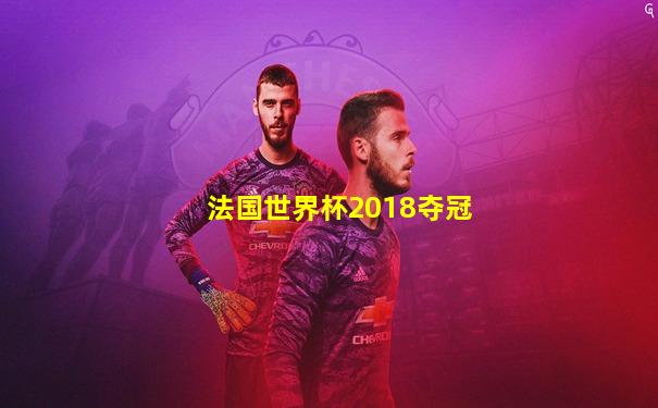 法国世界杯2018夺冠