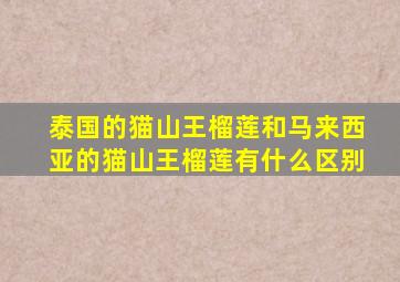 泰国的猫山王榴莲和马来西亚的猫山王榴莲有什么区别