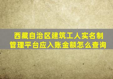 西藏自治区建筑工人实名制管理平台应入账金额怎么查询