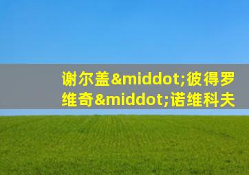 谢尔盖·彼得罗维奇·诺维科夫