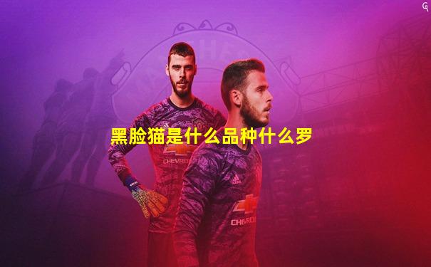 黑脸猫是什么品种什么罗