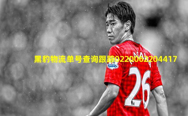 黑豹物流单号查询跟踪0220062204417